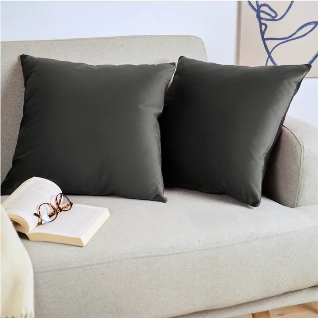 Blumtal Set van 2 Kussenslopen - Velvet - 30 x 50 cm - Antraciet - Verborgen Ritssluiting - Kussenhoes voor sierkussens