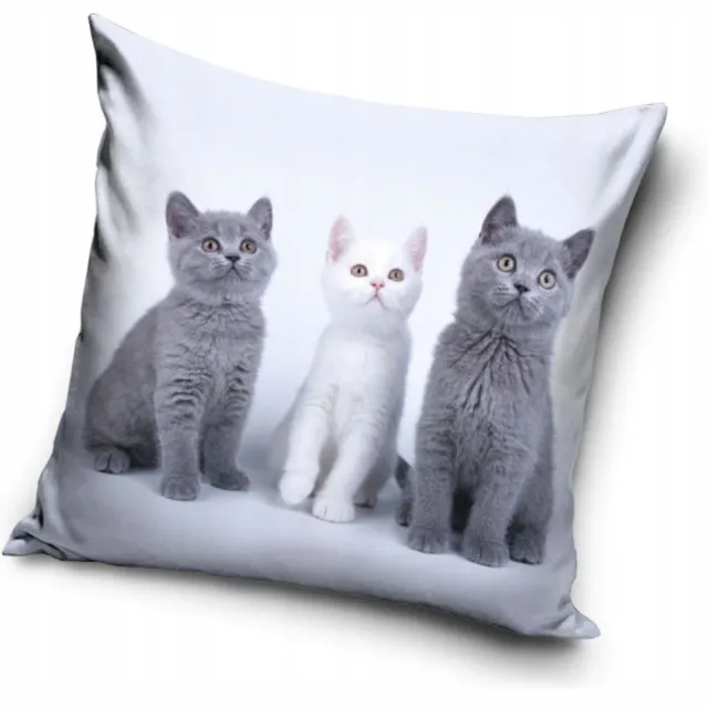 Carbotex Decoratieve Kussenhoes Katten 40x40 cm Multicolor