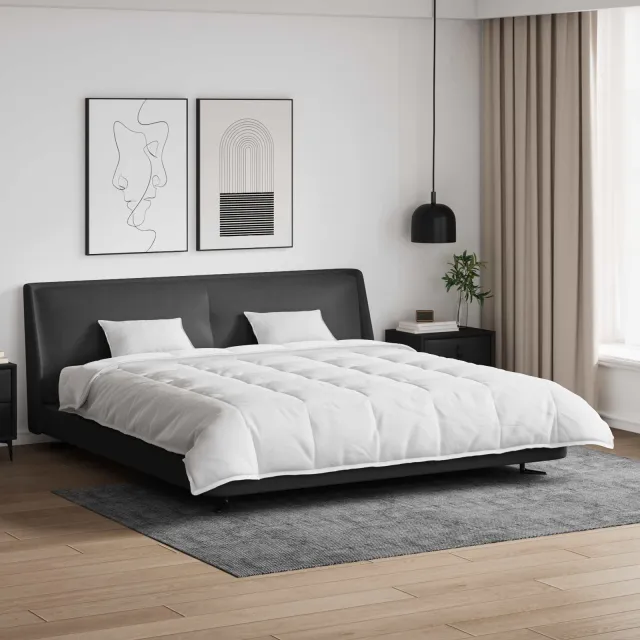 vidaXL Dekbed Set met kussen 3 st Wit Donsveertjes