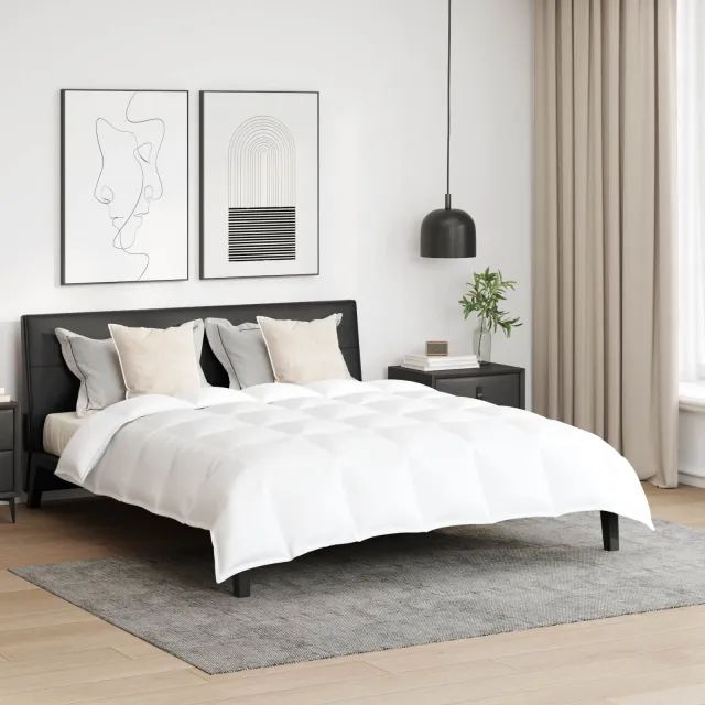 vidaXL Dekbed Set met kussen 3 st Wit Donsveertjes, foto 2