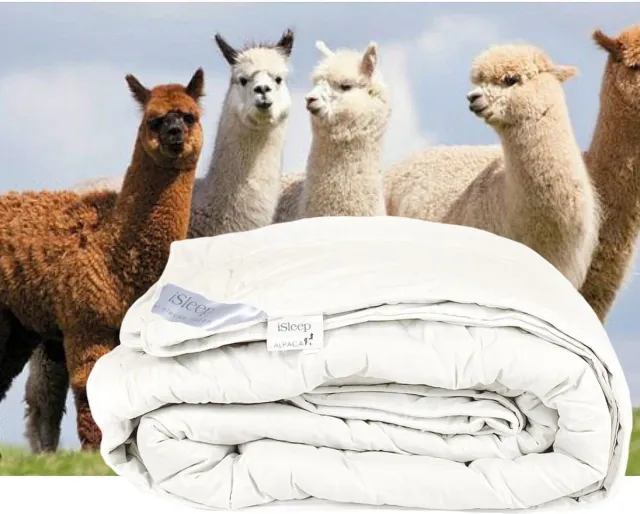 iSleep Alpaca wollen 4-seizoenen dekbed - Eenpersoons - 140x220 cm Wit