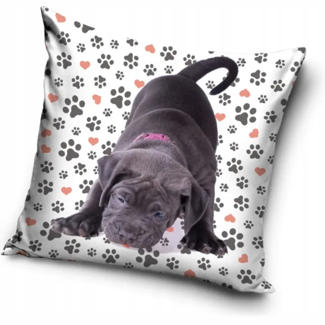 Carbotex Honden Kussenhoes 40x40 cm - Leuke Pootjes Print multicolor