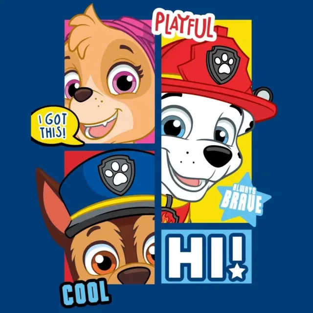 PAW Patrol fleece plaid playful - 100 x 140 cm Multicolor