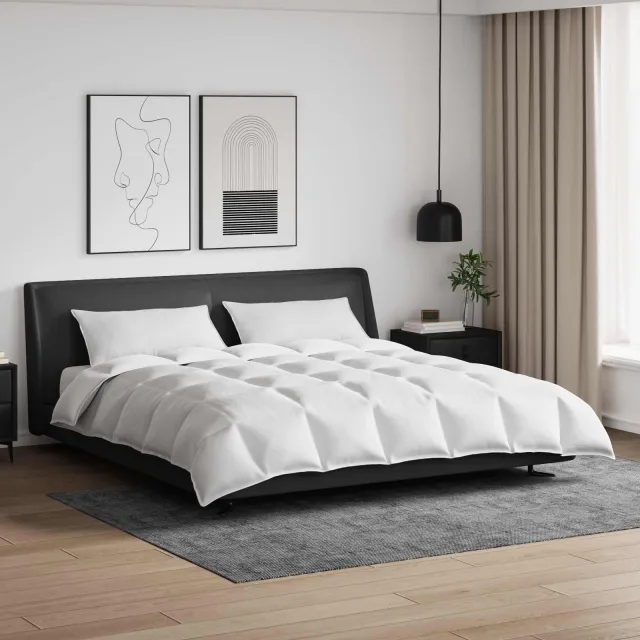 vidaXL Dekbed Set met kussen 3 st Wit Donsveertjes, foto 2