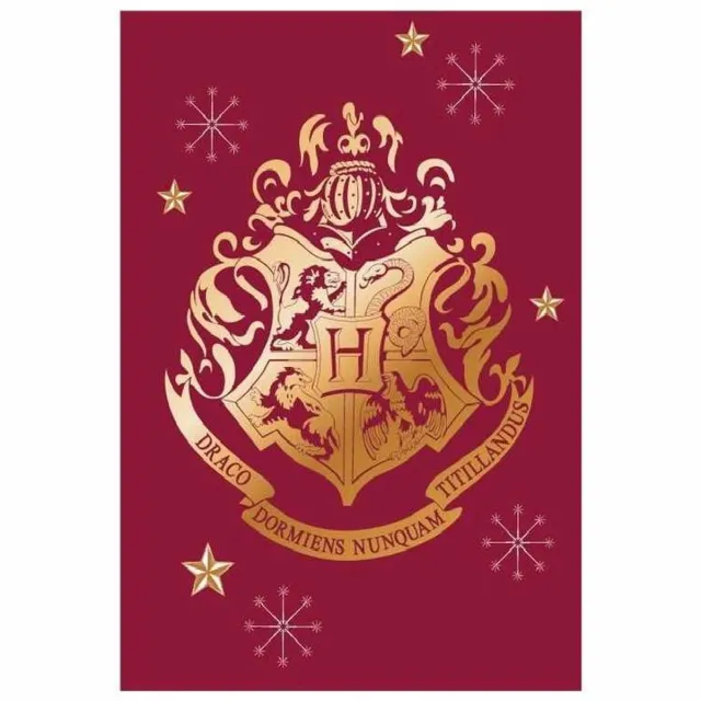 Harry Potter Fleecedeken - Plaid - Deken - 100 x 140 cm. Multi