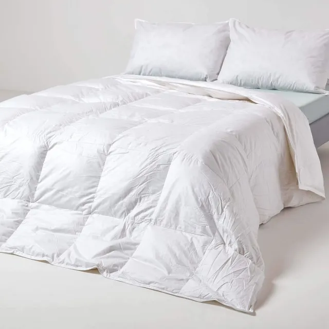 Homescapes Luxury Eendendons Dekbed 260x200 cm – Warmteklasse 1 – Winterdekbed – Katoen 300TC – OEKO-TEX® & RDS Wit