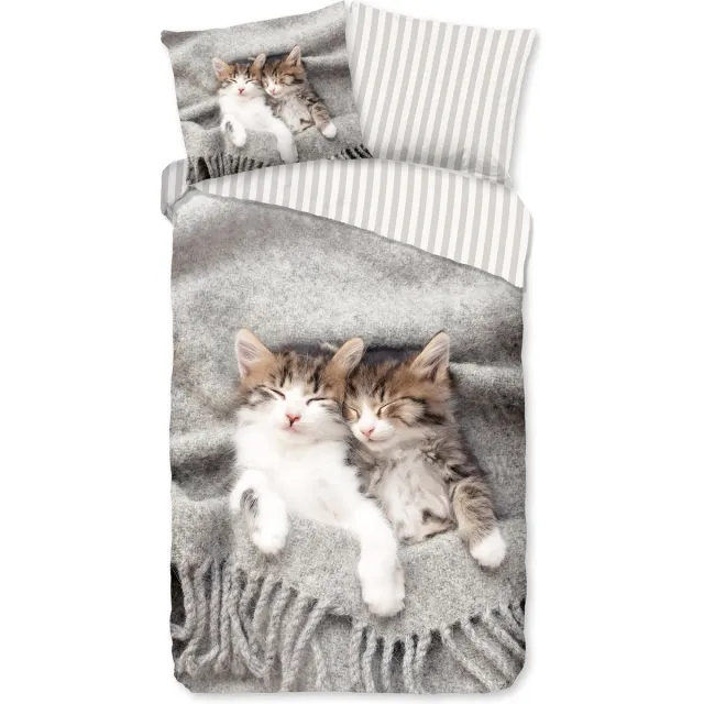 Pure dekbedovertrek kitten poezen - Grijs - Microvezel Grey