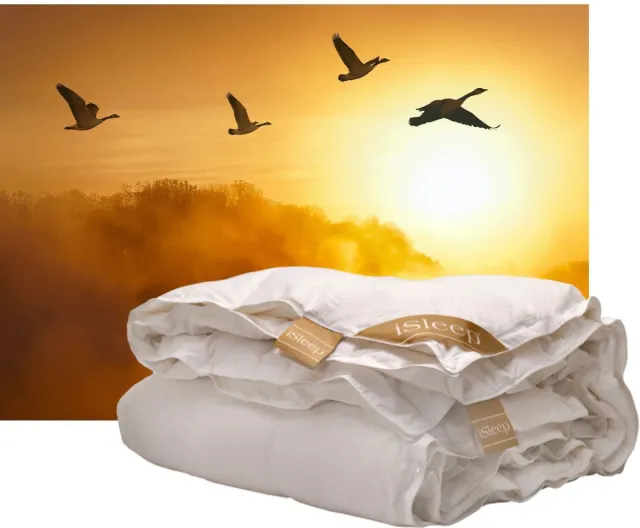 iSleep Gold Donzen 4-seizoenen dekbed - 100% Dons - Ganzendons - Litsjumeaux - 240x220 cm Wit