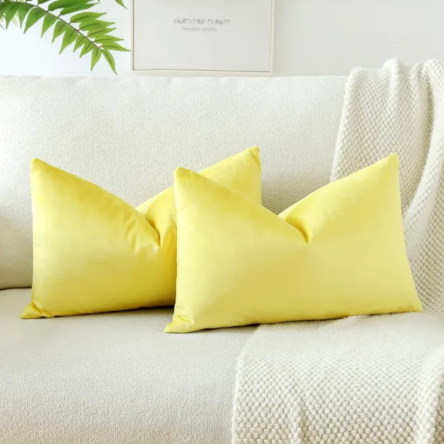 Ibenzoa Zachte Fluwelen Kussenslopen voor Sierlijke Bank- en Beddecoratie, Set van 2, 40 x 60 cm, Lichtgeel
