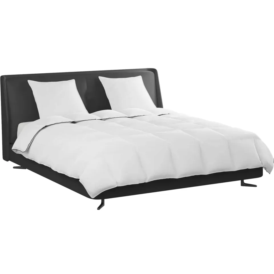 vidaXL Winter Dekbed met kussen 3 st Wit Donsveertjes, foto 2