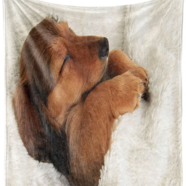 New Bed Teckel Puppy slapend in zijn bedje Zachte Flanellen Fleece Deken, 230 cm x 175 cm Ivoor Kaneel