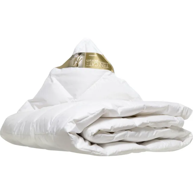 Ten Cate 100% Ganzendonzen Zomerdekbed - 140x200 cm - Luxe Ganzendons - Ademend - Vochtregulerend Wit