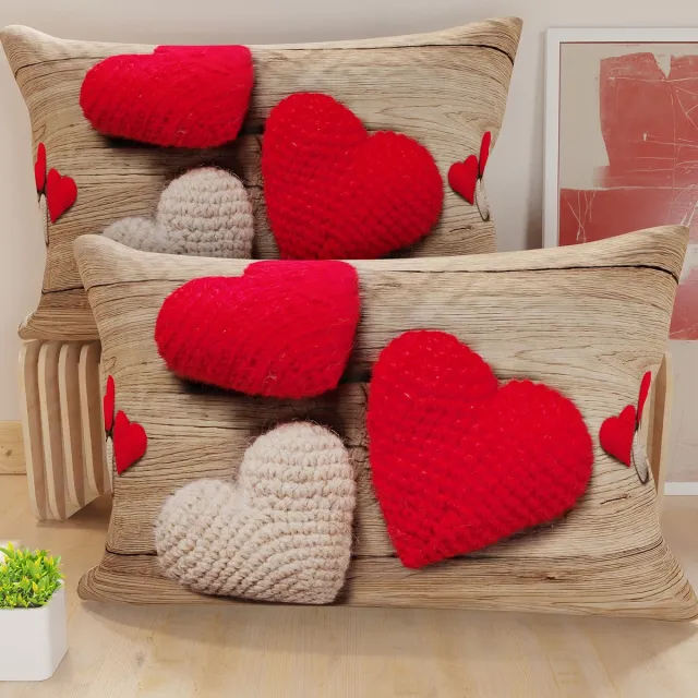 Unyqoos Set van twee moderne kussenhoezen 80x50 cm van zachte microvezel Kleurjik