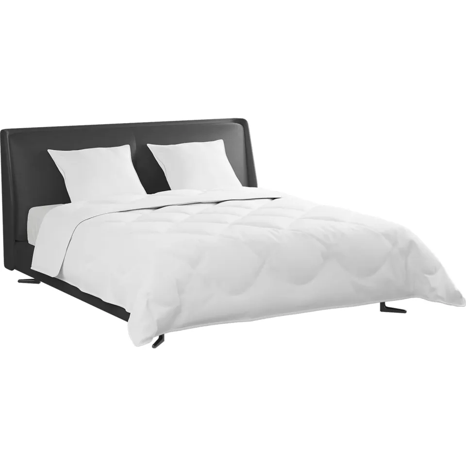 vidaXL Dekbed Set met kussen 3 st Wit Donsveertjes, foto 2