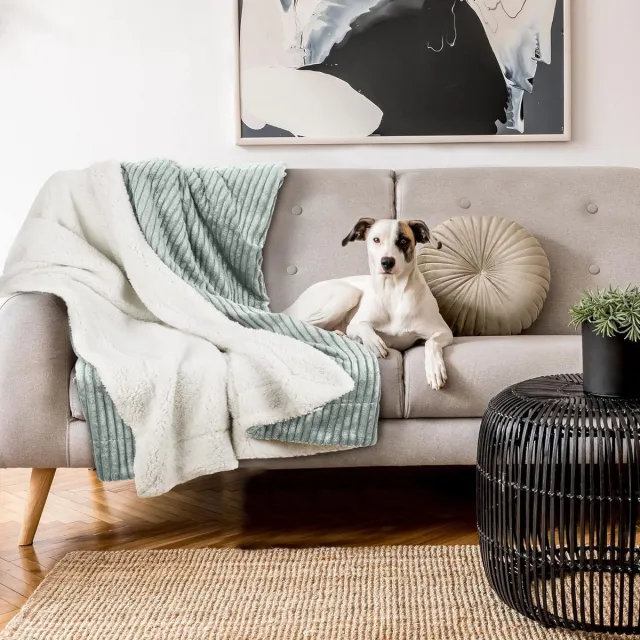 Famanu Sherpa Fleece Deken 150 x 200 cm - Lichtgrijs - Extra Zachte Plaid voor Woonkamer & Slaapkamer