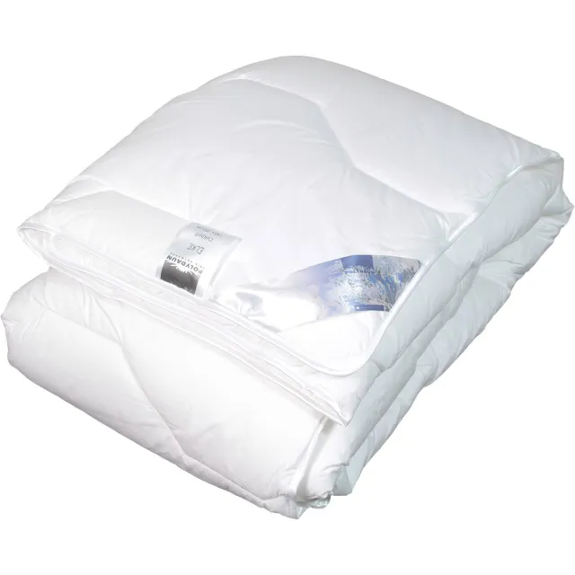 Polydaun ELKE - dekbed - Mitestop - anti-huisstofmijt - 240x200 cm - lits jumeaux wit