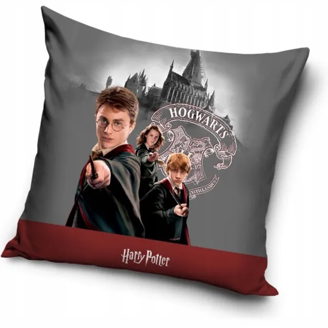 Carbotex Harry Potter Kussens Fluweel 40x40 cm - Zachte Microvezel Multicolor