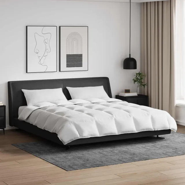 vidaXL Dekbed Set met kussen 3 st Wit Donsveertjes