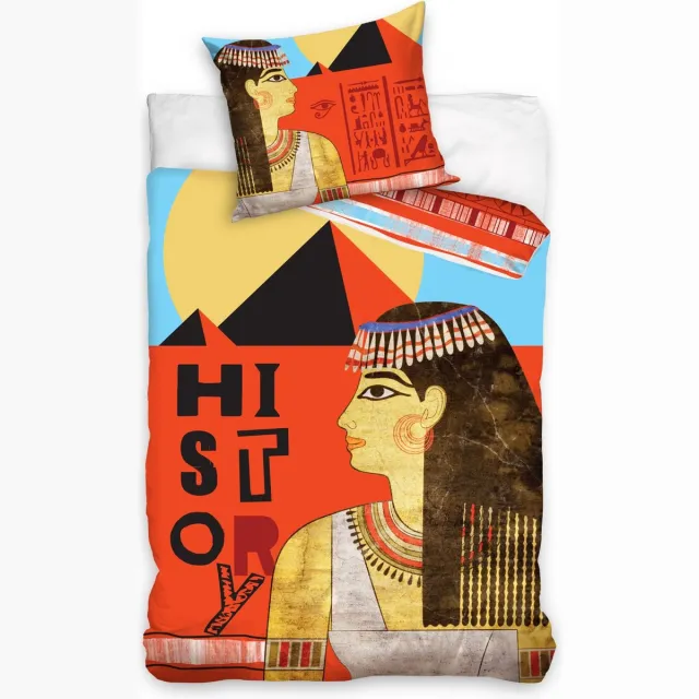 Carbotex Dekbedovertrek History 140x200/70x80 cm Multicolor