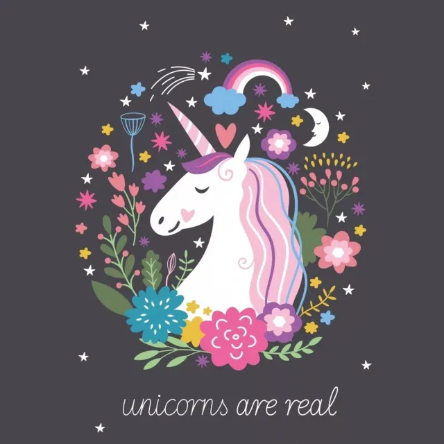 Unicorn fleece deken Unicorns are Real - 100 x 140 cm multicolor