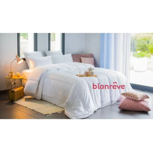 BLANREVE 4-seizoenen – Donsdeken – 200 x 200 – 420 g/m² Wit