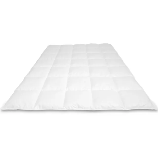 Cassenz DA VINCI Dekbed | 100% Mazurische ganzendons | Tencel®/zijde tijk | Herfst/Lente - warmteklasse 3 - 260/220cm - 775gr. wit
