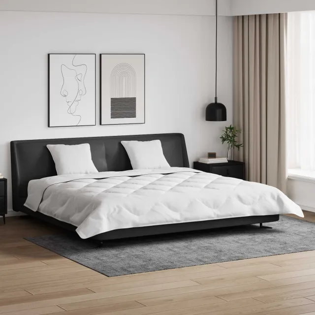 vidaXL Dekbed met Kussens 3 st Wit Microfiber en Dons Feather