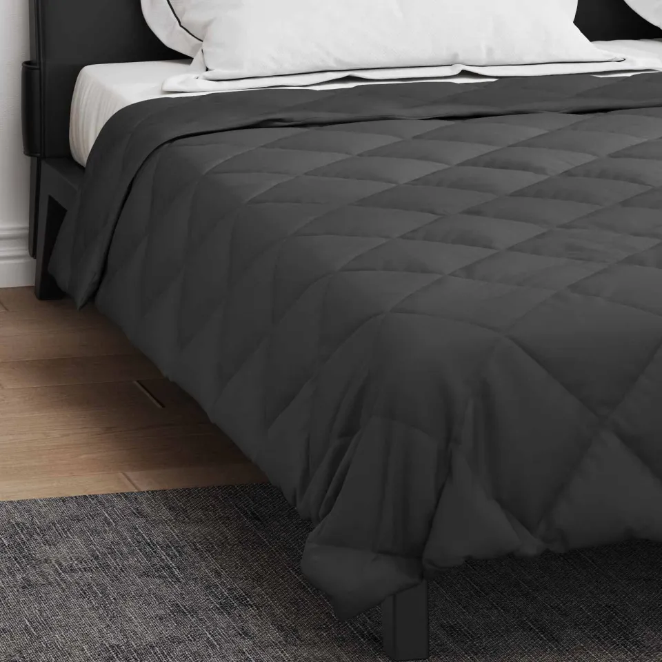 vidaXL Zomer Dekbed 220 x 260 cm 200 gsm Microvezel Antraciet, foto 4