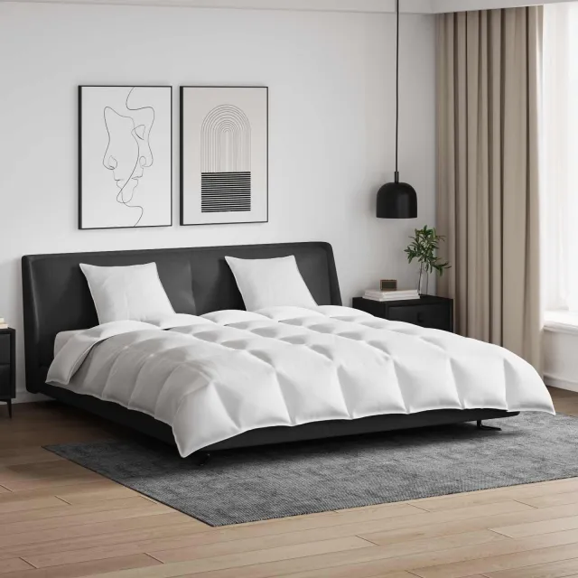 vidaXL Dekbed Set met kussen 3 st Wit Donsveertjes