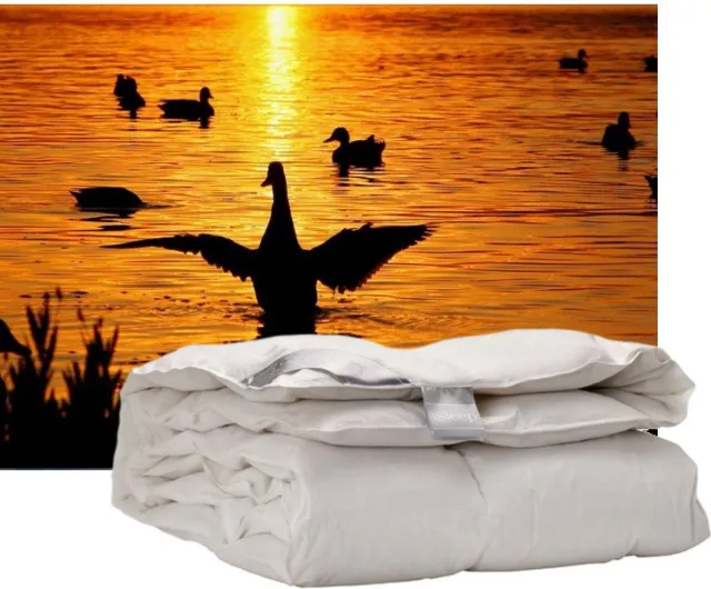 iSleep Donzen Dekbed - Enkel - 100% Dons - Warmteklasse 1 - Eendendons - Eenpersoons - 140x200 cm Wit