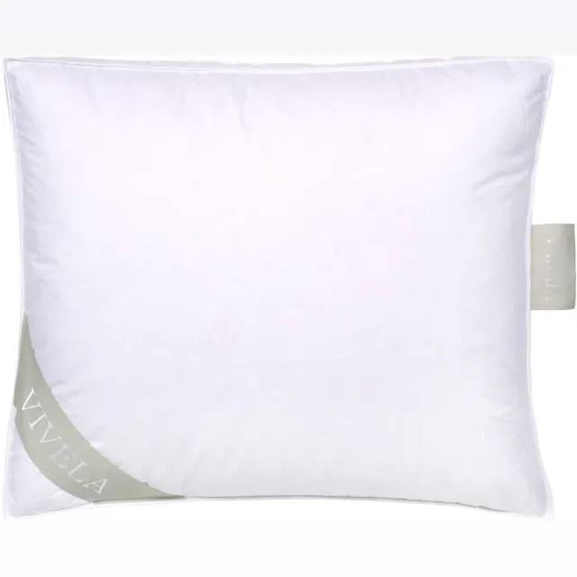 Woonexpress Vivela Hoofdkussen Premium - Dons/Veren - 60x70 cm (BxH) Wit