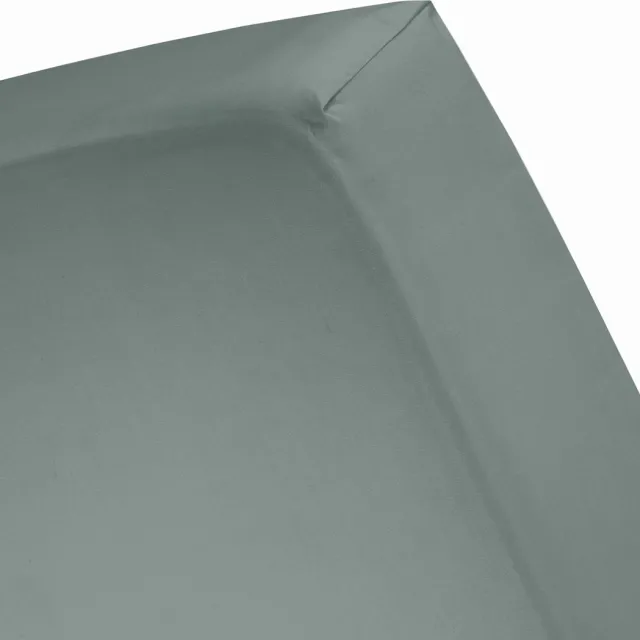 Cinderella Hoeslaken - Jersey - 160x210/220 cm - Groen