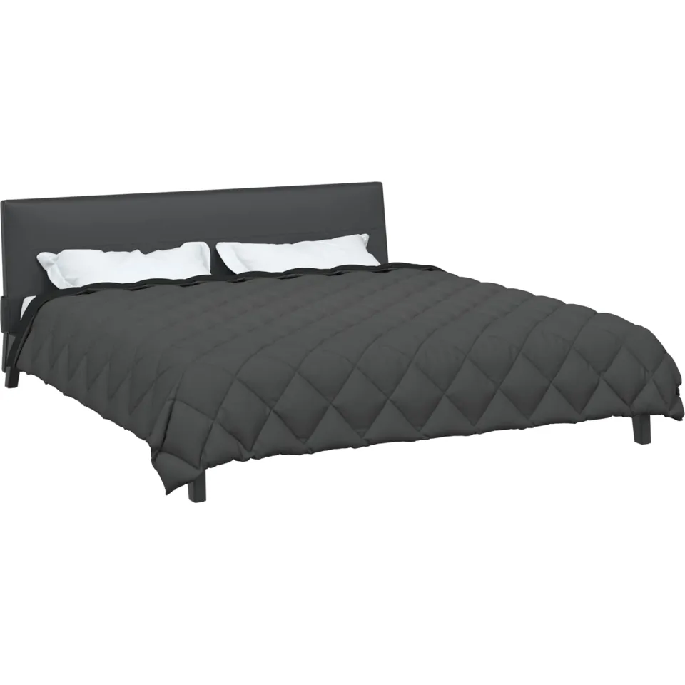 vidaXL Winter Dekbed 200 x 220 cm 450 gsm Microvezel zwart, foto 2