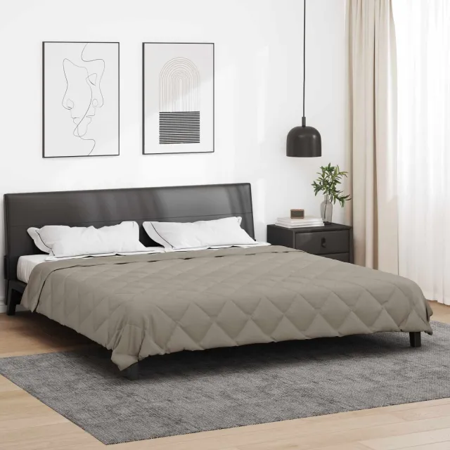 vidaXL Vol jaar dekbed 200 x 220 cm 300 gsm Microvezel Lichtgrijs