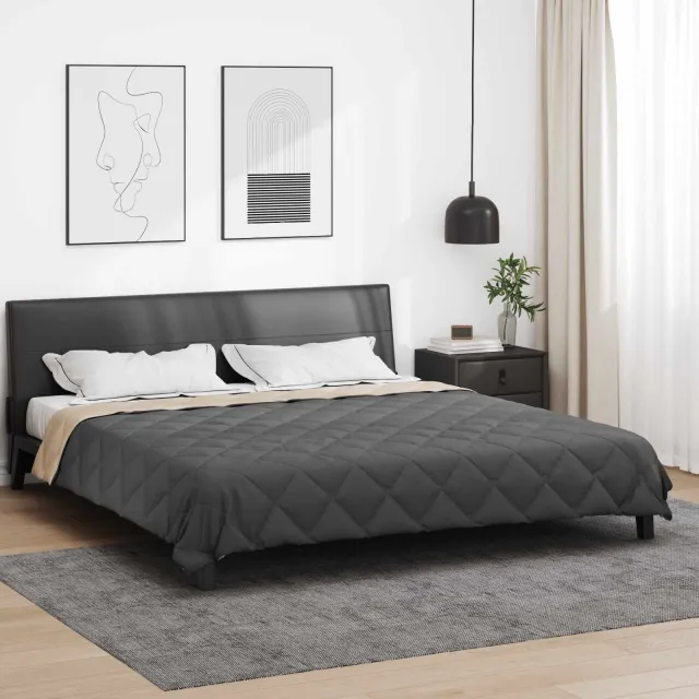vidaXL Zomer Dekbed 220 x 200 cm 200 gsm Microvezel Anthraciet