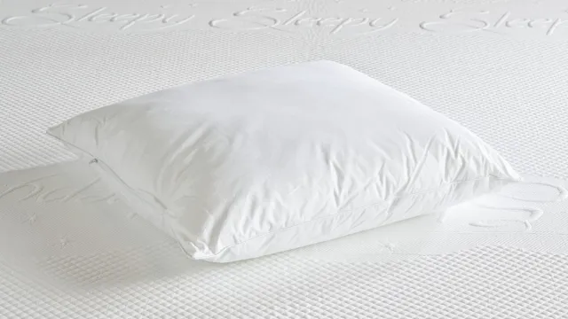 SwissSleep Butterfly kussen - 60x60 - Aanpasbare vulling microvezel Wit