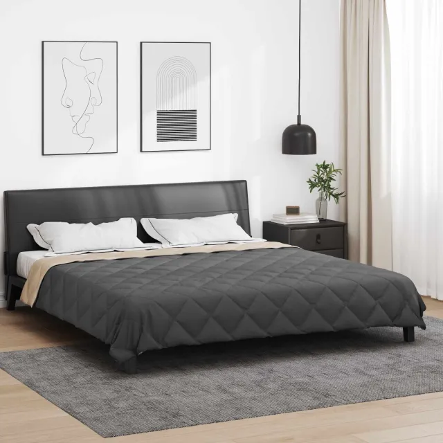 vidaXL Vol jaar dekbed 200 x 220 cm 300 gsm Microvezel Anthraciet