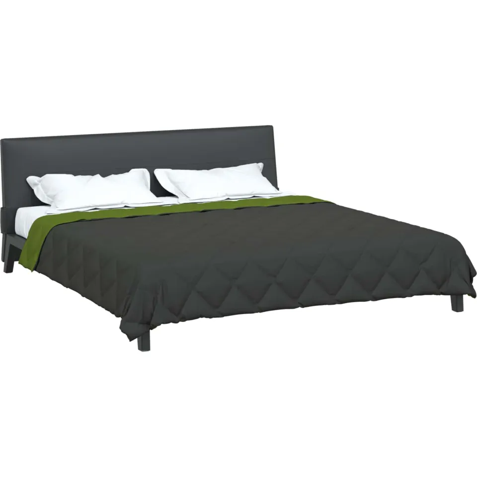 vidaXL Zomer Dekbed 220 x 260 cm 200 gsm Microvezel Groen en Antraciet, foto 2