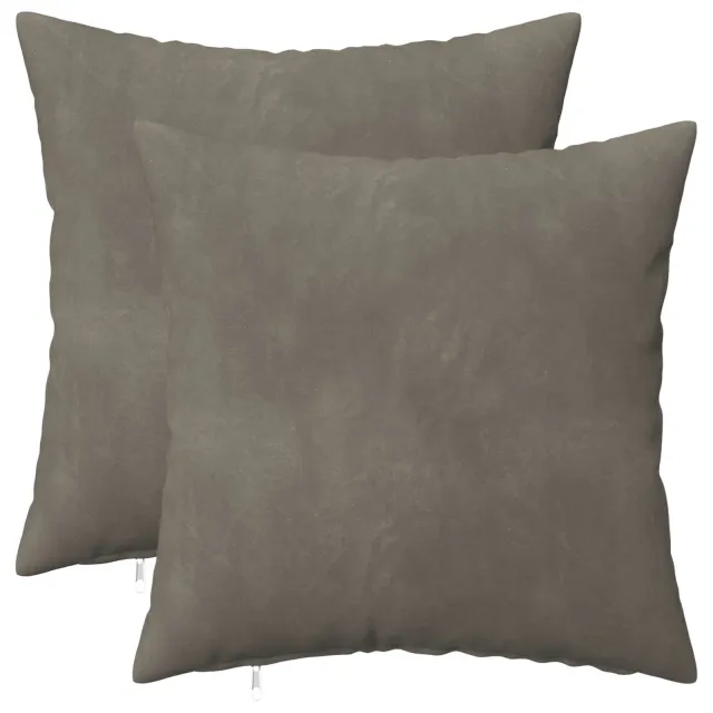 vidaXL Kussensloop 2 st HEERLEN Lichtgrijs 35 x 35 cm Fluweel