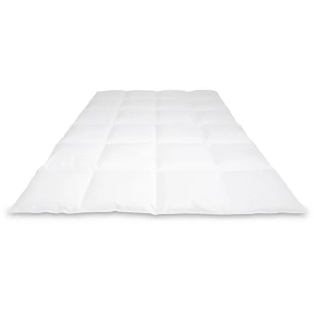 Cassenz REMBRANDT | donzen dekbed | 100% ganzendons | Winter - warmteklasse 2 - 200/220cm - 750gr. wit