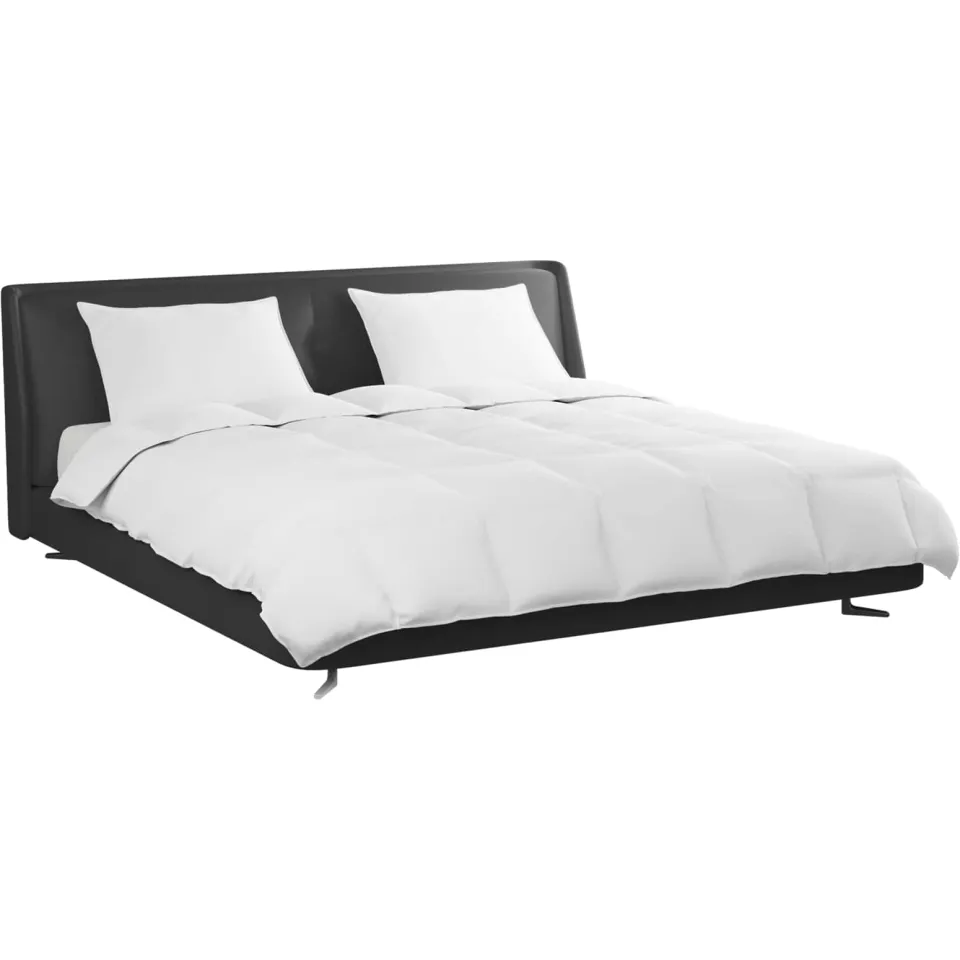 vidaXL Dekbed Set met kussen 3 st Wit Donsveertjes, foto 2