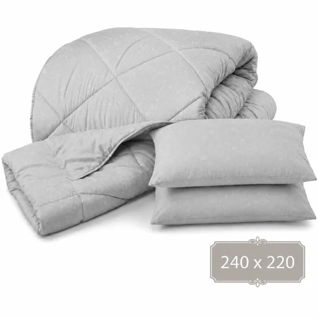 Roden Blue Dekbedset - 240x220 - inclusief 2 Kussenslopen - Lichtgrijs - Hotelkwaliteit - Zacht, Warm, Ademend - All Season - Wasbaar