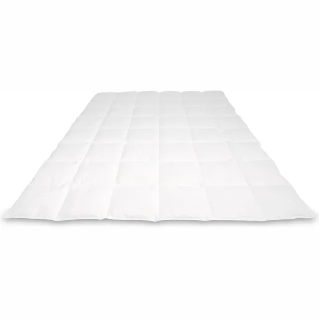 Cassenz Rembrandt Donzen Dekbed - 100 % Mazurische ganzendons - Zomer - 200 x 220 cm wit