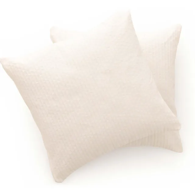 Ibenzoa Set van 2 Decoratieve Kussenhoezen met Verborgen Ritssluiting voor Binnen en Buiten ecru