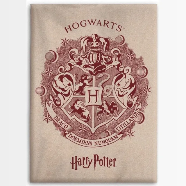 Harry Potter Fleece plaid 110 x 150 cm flanel Veelkleurig
