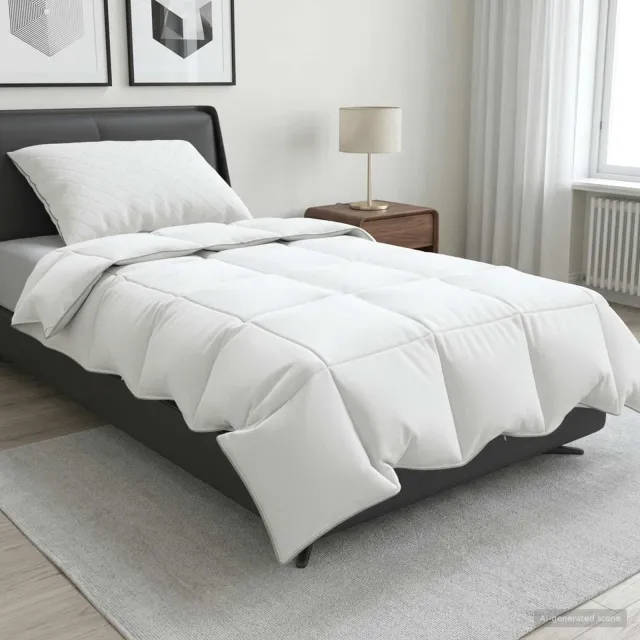 vidaXL 90% ganzen dons dekbedset FULDA 2 st 152 x 203 cm Zomer 100 GSM Wit