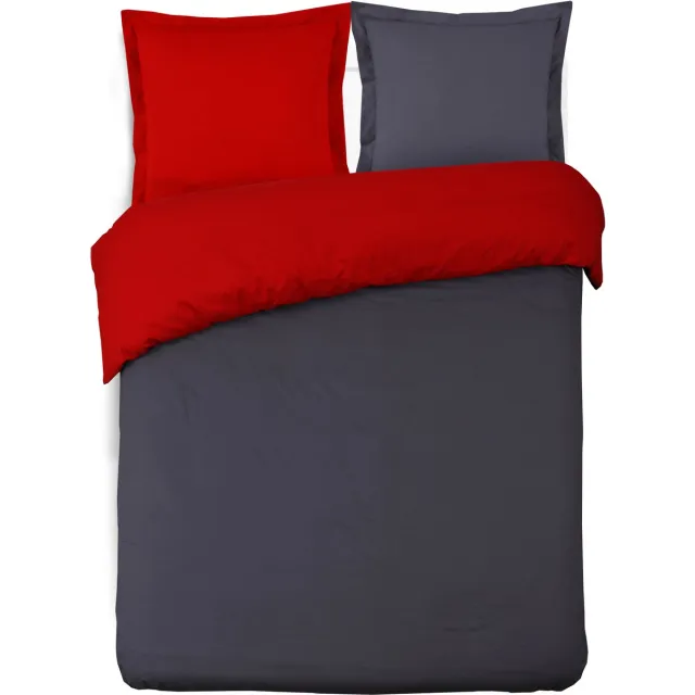 VISION home VISION Bicolor - Tweezijdig omkeerbaar Dekbedovertrekset - 100% katoen: zacht en soepel - Dekbedovertrek met 2 bijhorende slopen - Grijs / Rood - Oekotex gecertificeerd