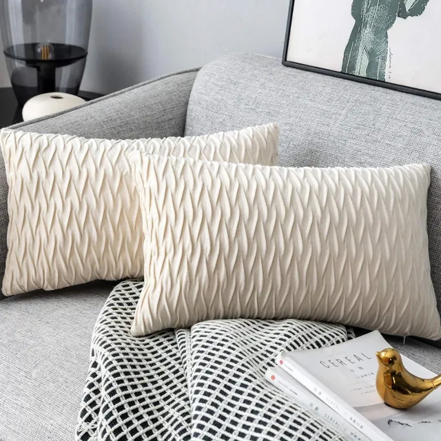 Thuys Kussenslopen set fluwelen zachte decoratieve kussens voor sofa slaapkamer 30 cm x 50 cm set van 2 voor bank, bed, bank, stoel, slaapkamer en woonkamer, crèmewit