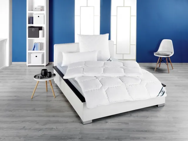 Frankenstolz 4 Seizoenen Dekbed Kansas Holle Vezel-240 x 220 cm Wit
