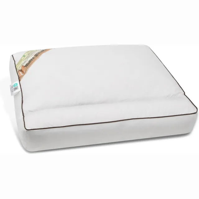 NachtrustOnline Kapok neksteun hoofdkussen - Verkoelend- Koel kussen - 100% Natuurlijk Kapok Neksteunkussen - oplossing tegen een Warm hoofd - 50x60x10 Creme
